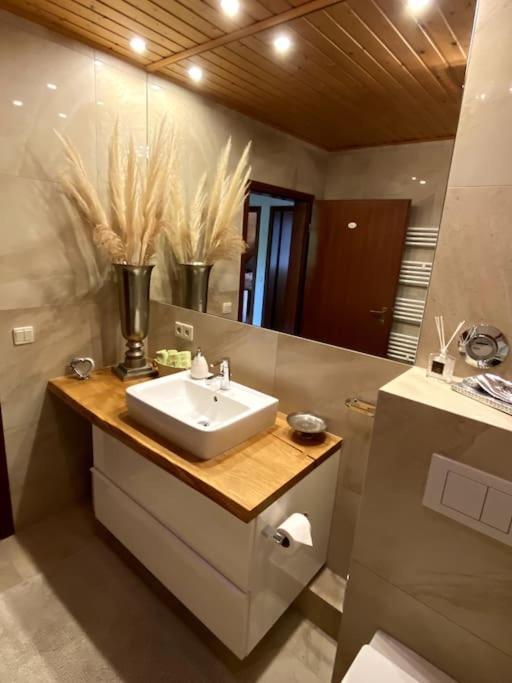 Live Joy- 3 Zimmer Wohnung Swisttal Ngoại thất bức ảnh